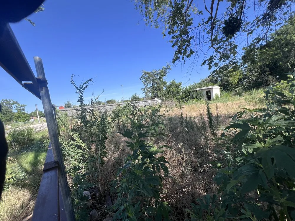 Expert landscaping services experts serving Luther, OK - Greenery Imprint