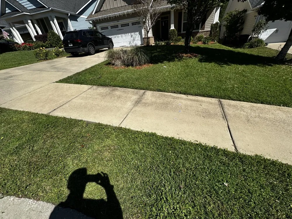 Trusted yard cleanup service in Tallahassee, FL by Greenery landscaping