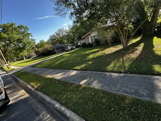 Greenery landscaping Logo