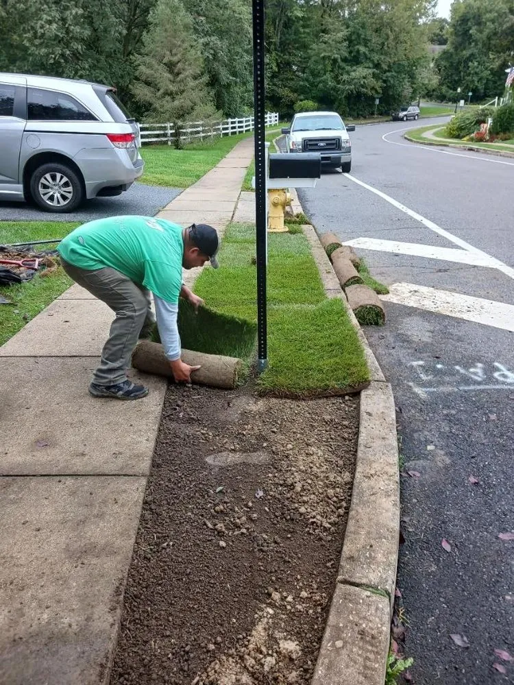 Top-rated lawn mowing service in Wilmington Manor, DE - Greenery Landscaping