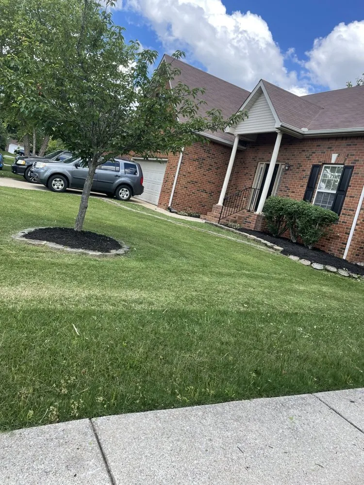Affordable lawn care service for homes across Murfreesboro, TN - Greenery Lawn Care Unlimited