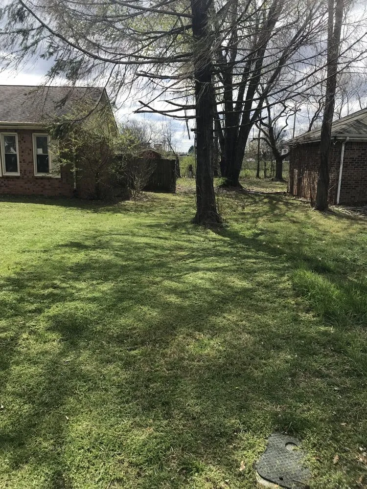 Top-rated residential landscaping for residential properties across Murfreesboro, TN - Greenery Lawn Care Unlimited