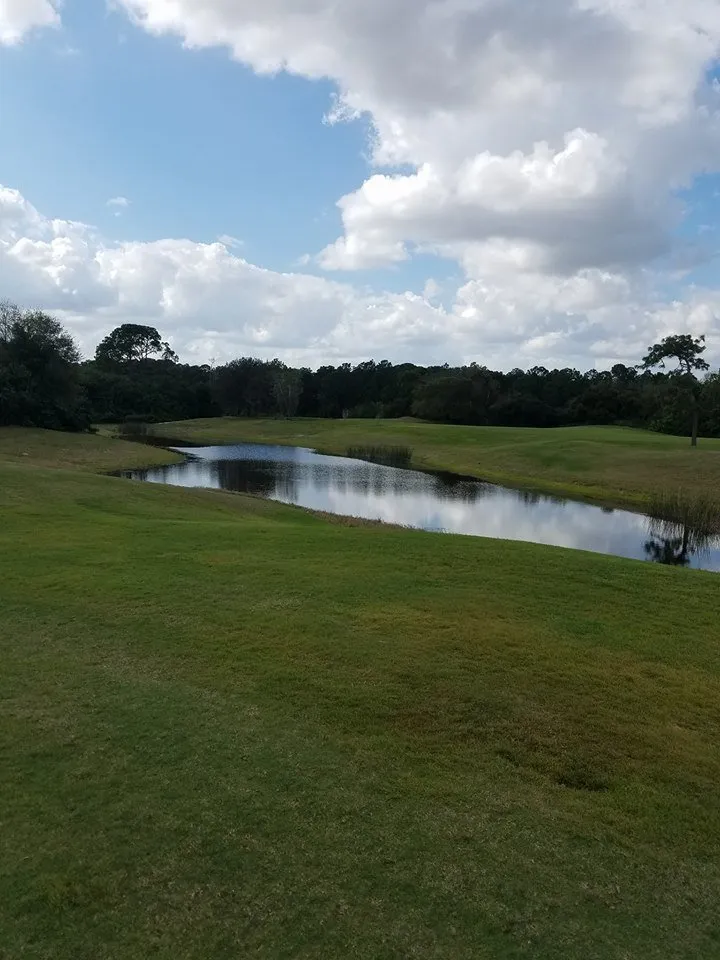 Expert yard maintenance experts serving Runnemede, NJ - Greenery Lawn Service