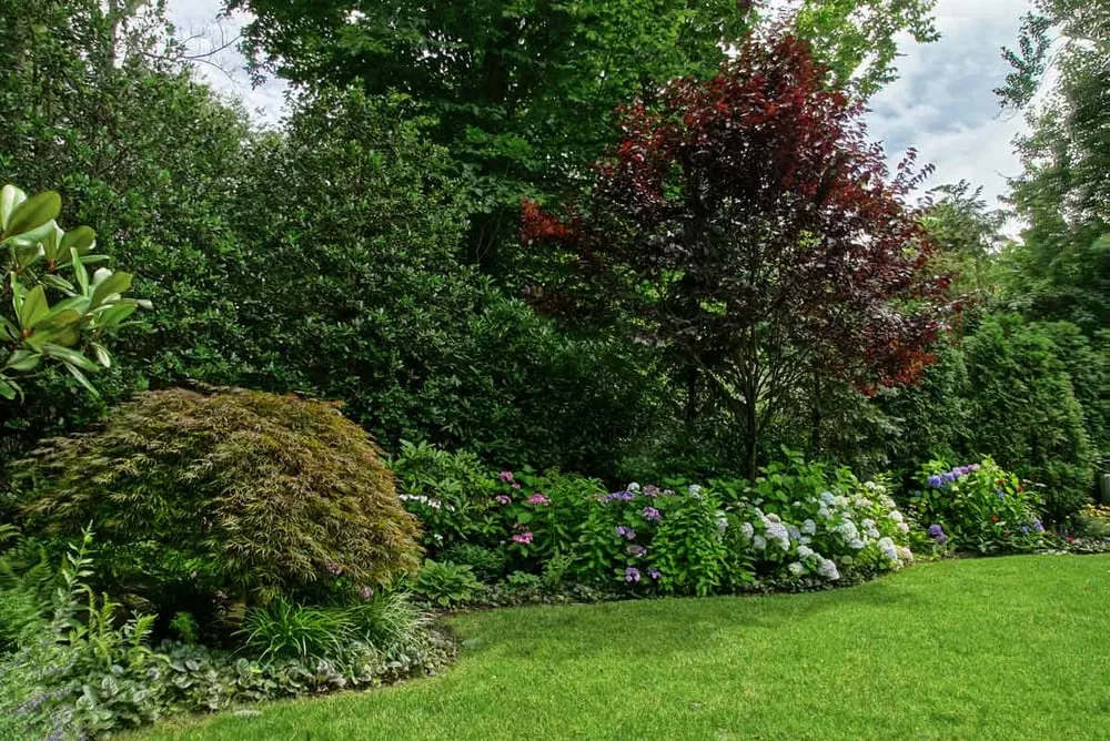 Affordable outdoor landscaping for homes across Brooklyn, NY - Greenery NYC