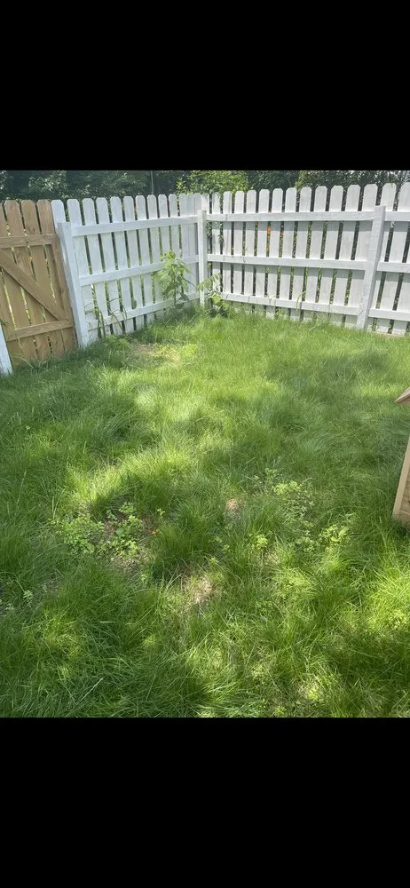 Custom yard maintenance experts serving Fleetwood, PA - Greene’s Grass and Outdoor Services