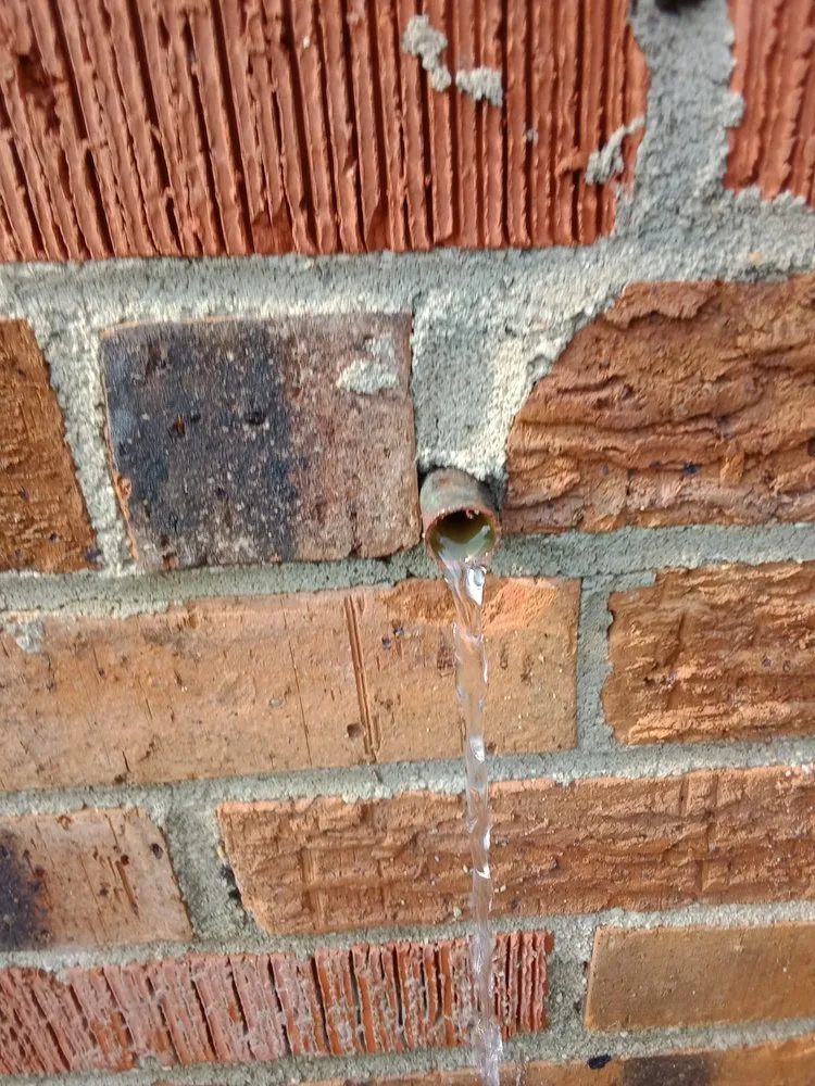 Professional yard cleanup service in Hampton, VA - Greene's Home And Lawn Care