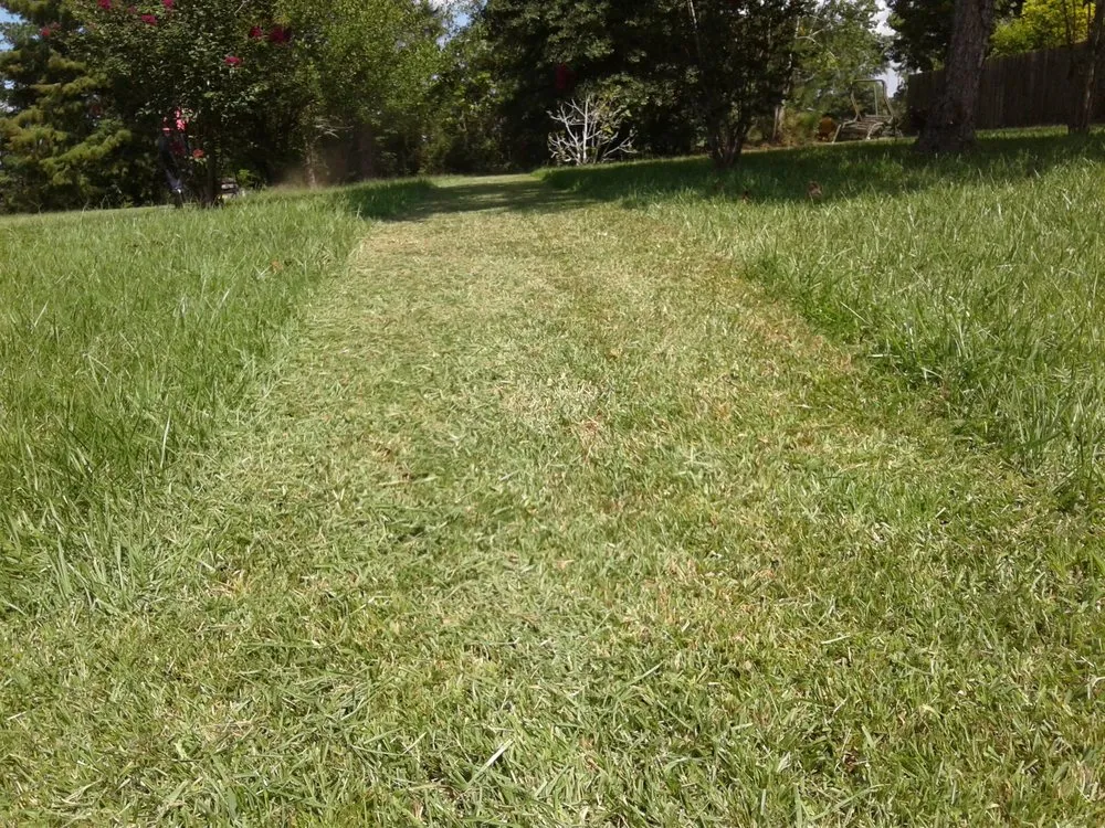 Professional yard maintenance in Lake Charles, LA - Greene's Lawn Service