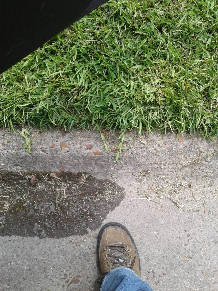 Local residential landscaping in Lake Charles, LA - Greene's Lawn Service