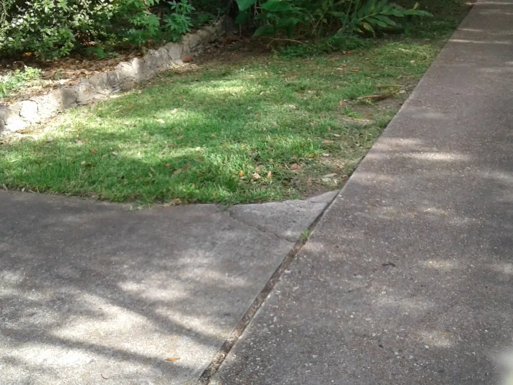 Local yard cleanup service in Lake Charles, LA by Greene's Lawn Service