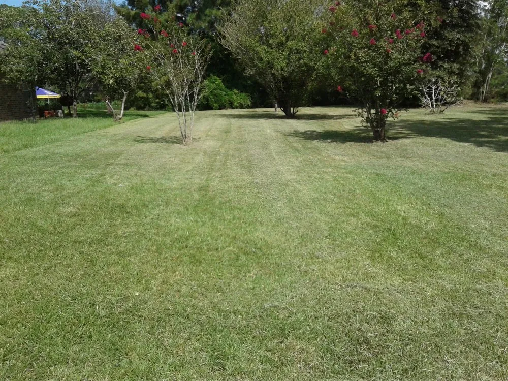 Affordable landscape design experts serving Lake Charles, LA - Greene's Lawn Service