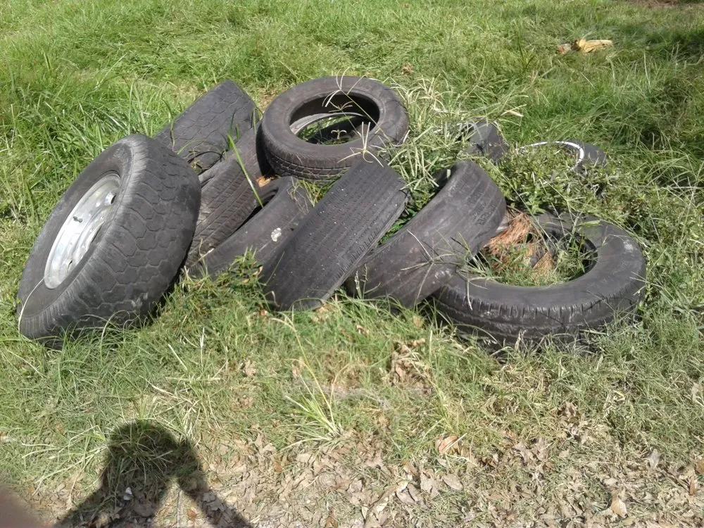 Reliable landscaping services for beautiful yards in Lake Charles, LA by Greene's Lawn Service