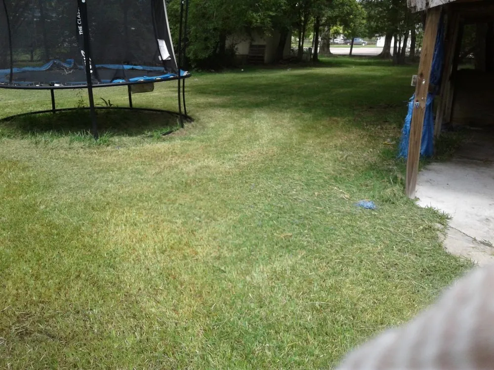 Local landscape design for outdoor upgrades across Lake Charles, LA - Greene's Lawn Service