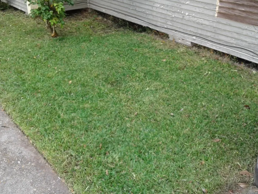 Reliable lawn care service in Lake Charles, LA by Greene's Lawn Service