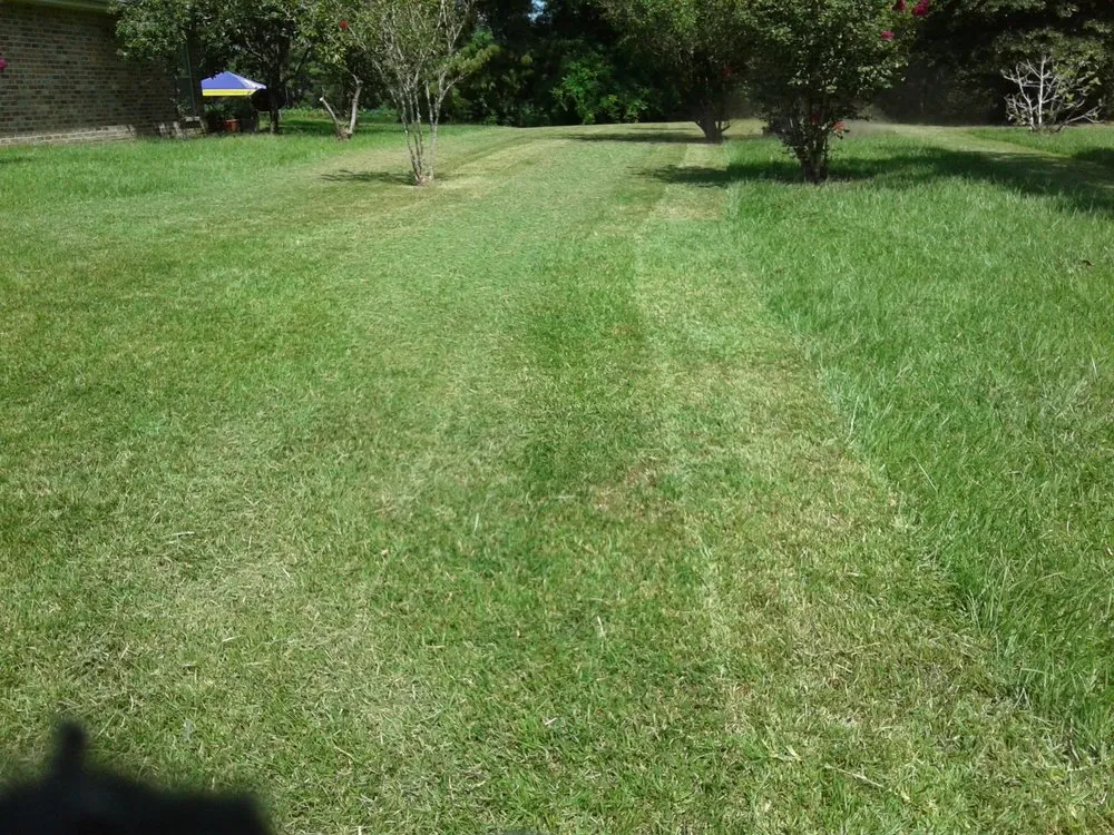 Top-rated yard maintenance in Lake Charles, LA - Greene's Lawn Service