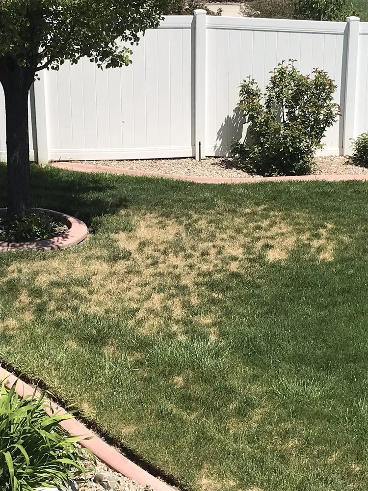 Top-rated lawn care service in Draper, UT - Greene's Turf Care