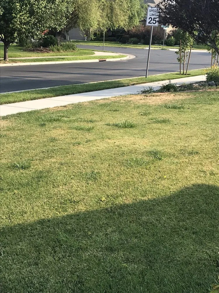 Professional outdoor landscaping experts serving Draper, UT - Greene's Turf Care