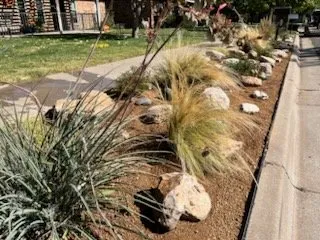 Professional outdoor landscaping for beautiful yards across Milton, FL - Greenescapes Outdoor Services