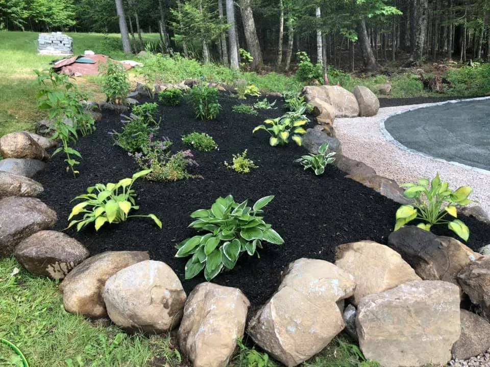 Expert yard maintenance experts serving Machiasport, ME - Greenest Grass Seasonal Services