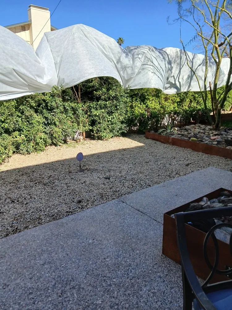 Professional residential landscaping for residential properties in Mesa, AZ by Greenest Landscaping