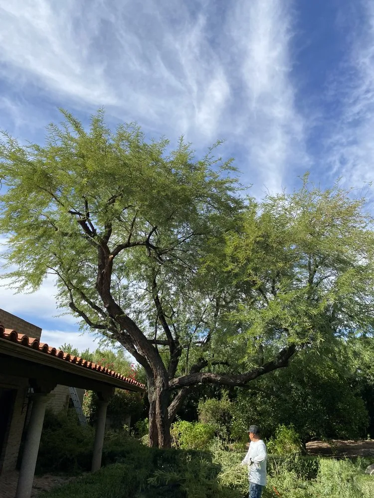 Reliable garden landscaping in Mesa, AZ by Greenest Landscaping