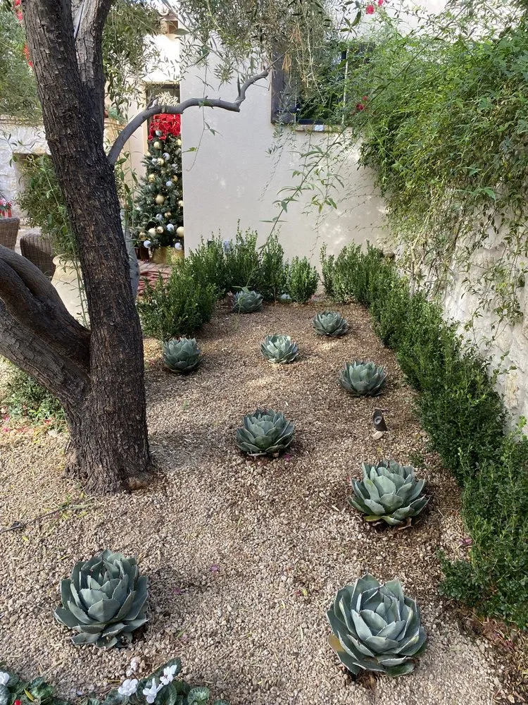 Reliable landscape design for homes in Mesa, AZ by Greenest Landscaping
