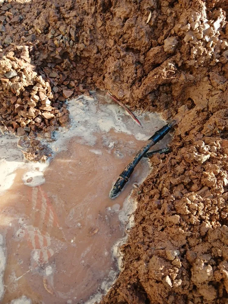 Expert landscape installation experts serving Mesa, AZ - Greenest Landscaping