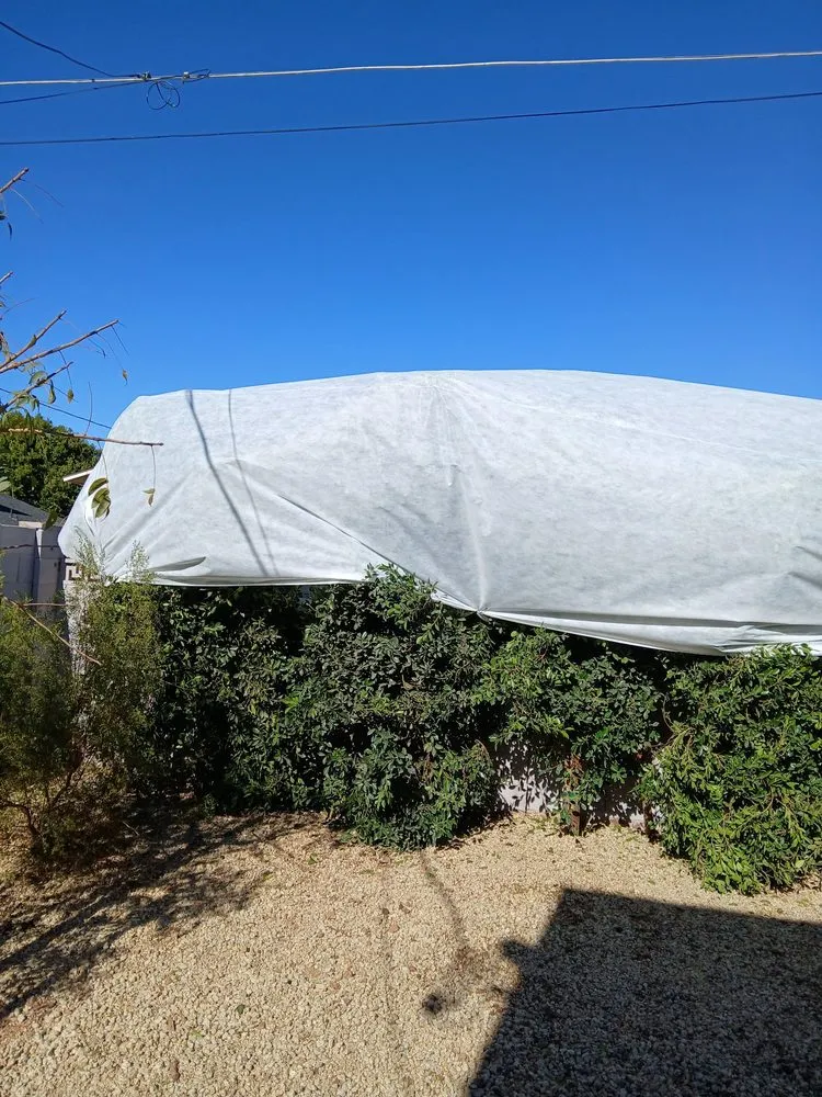 Local lawn mowing service for homes in Mesa, AZ by Greenest Landscaping