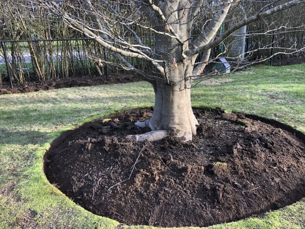 Professional garden landscaping in East Hampton, NY by Greenfield Landscapers