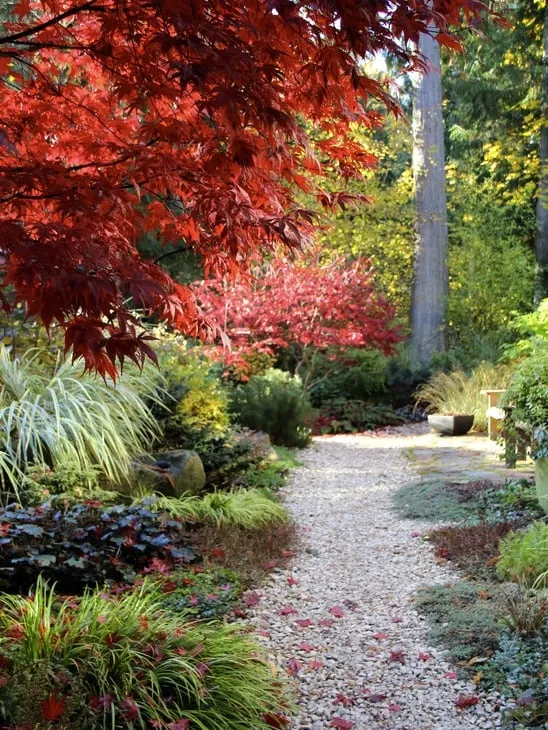 Trusted residential landscaping for year-round maintenance in East Hampton, NY by Greenfield Landscapers