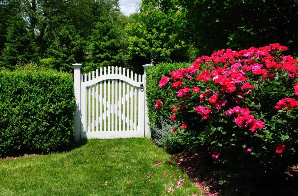 Trusted landscape design in East Hampton, NY by Greenfield Landscapers