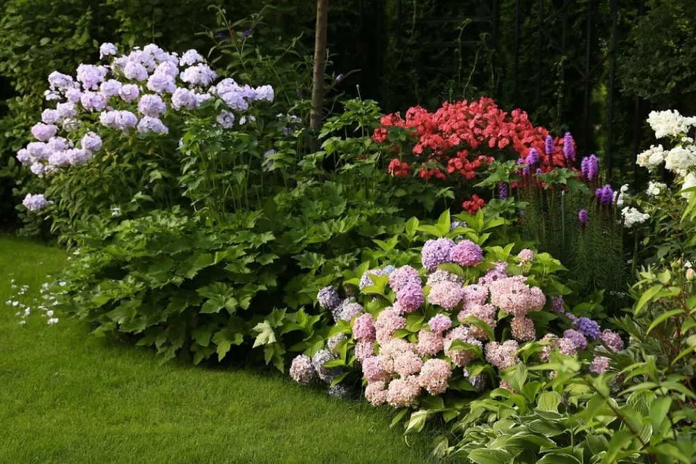 Expert landscape design experts serving East Hampton, NY - Greenfield Landscapers