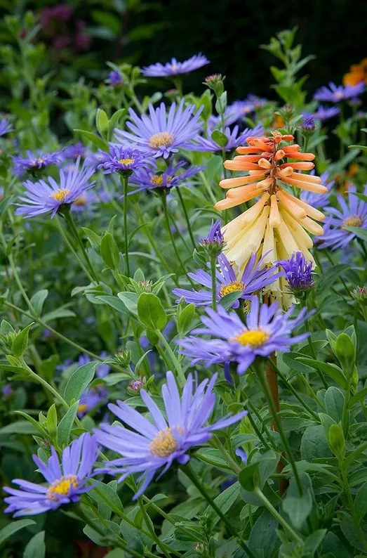 Trusted garden landscaping with custom design across East Hampton, NY - Greenfield Landscapers