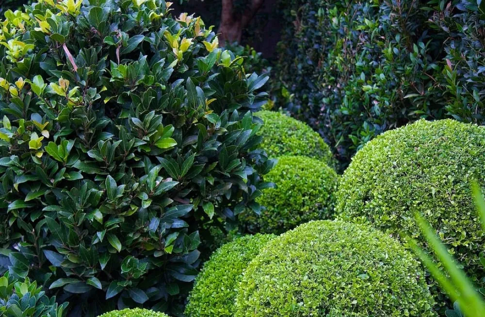 Trusted outdoor landscaping experts serving East Hampton, NY - Greenfield Landscapers