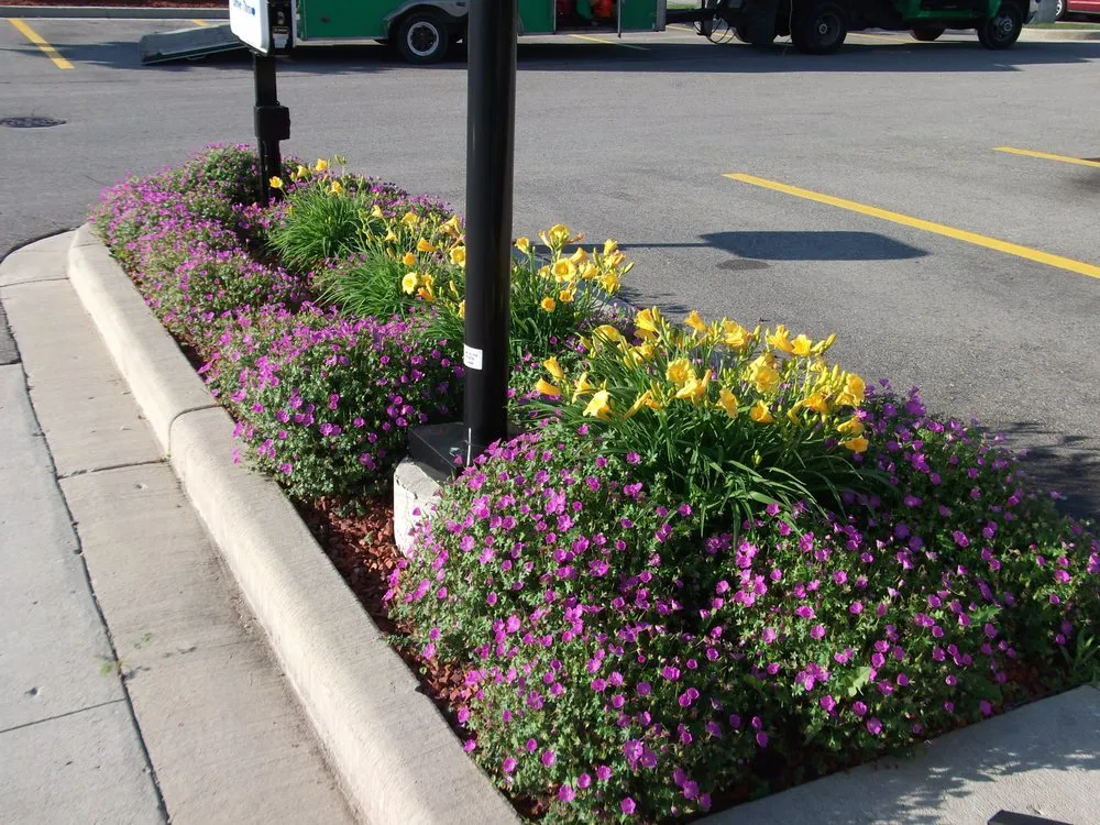 Top-rated landscape design for homes in Milwaukee, WI by Greenfield Landscaping