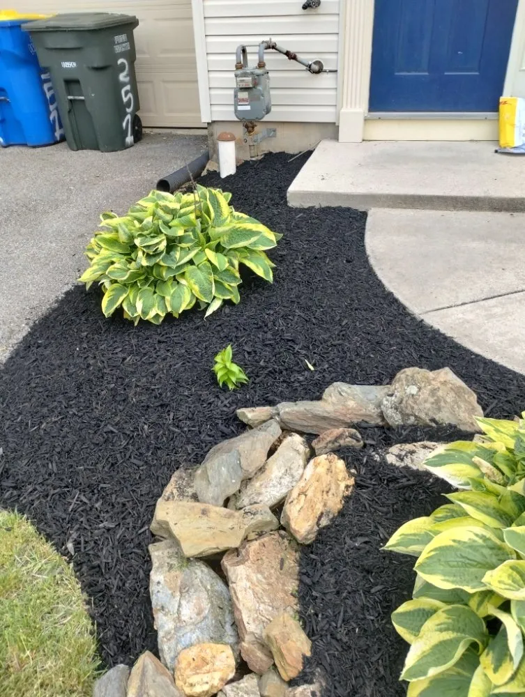 Top-rated yard cleanup service in York, PA - GreenField Lawn Care & Landscaping