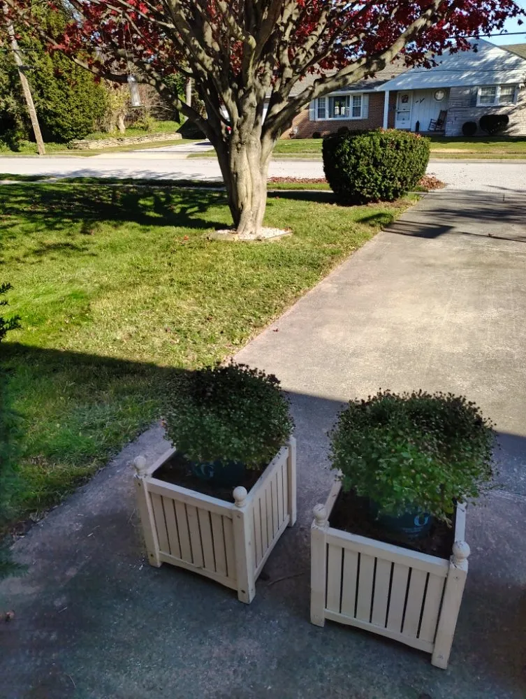 Expert yard cleanup service for year-round maintenance in York, PA by GreenField Lawn Care & Landscaping