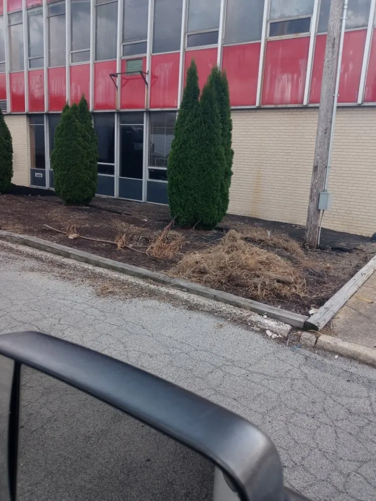 Expert yard cleanup service in York, PA - GreenField Lawn Care & Landscaping