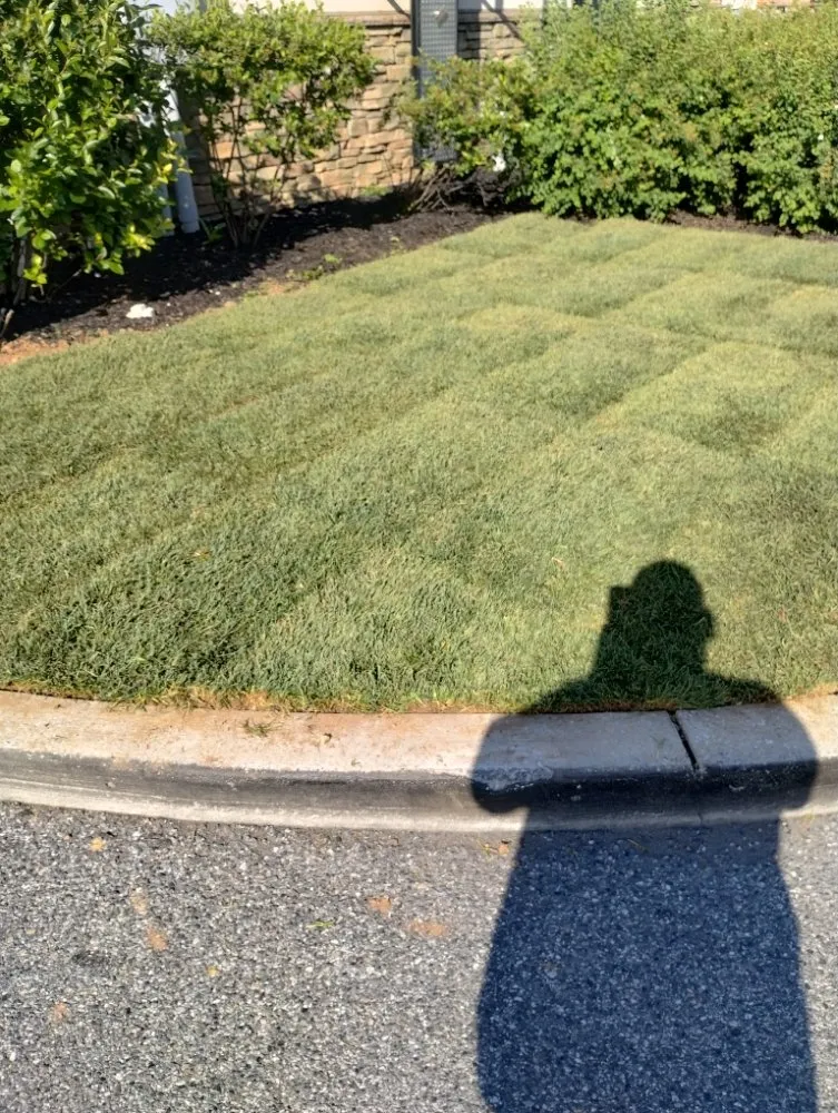 Expert yard maintenance for residential properties in York, PA by GreenField Lawn Care & Landscaping