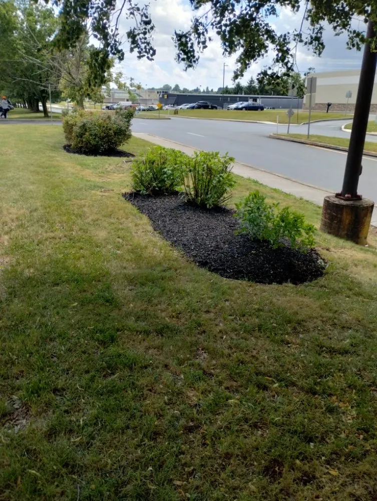 Expert lawn care service experts serving York, PA - GreenField Lawn Care & Landscaping