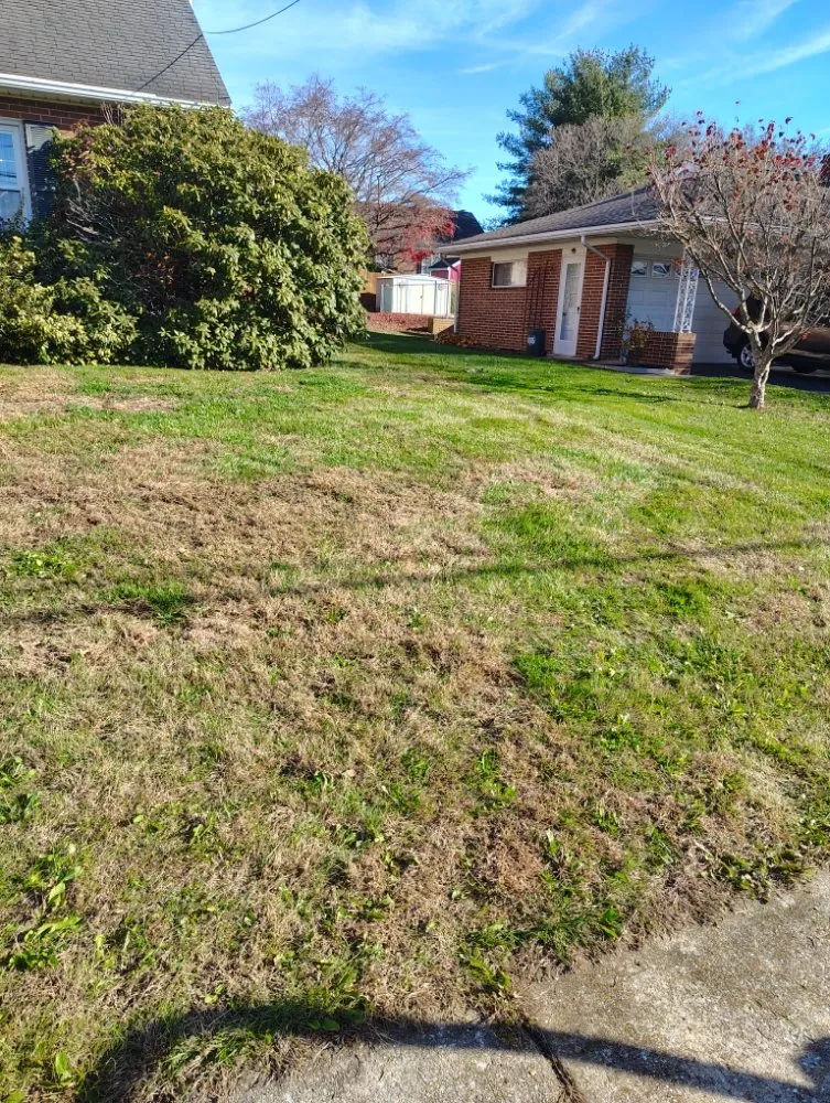 Professional landscaping services in York, PA by GreenField Lawn Care & Landscaping