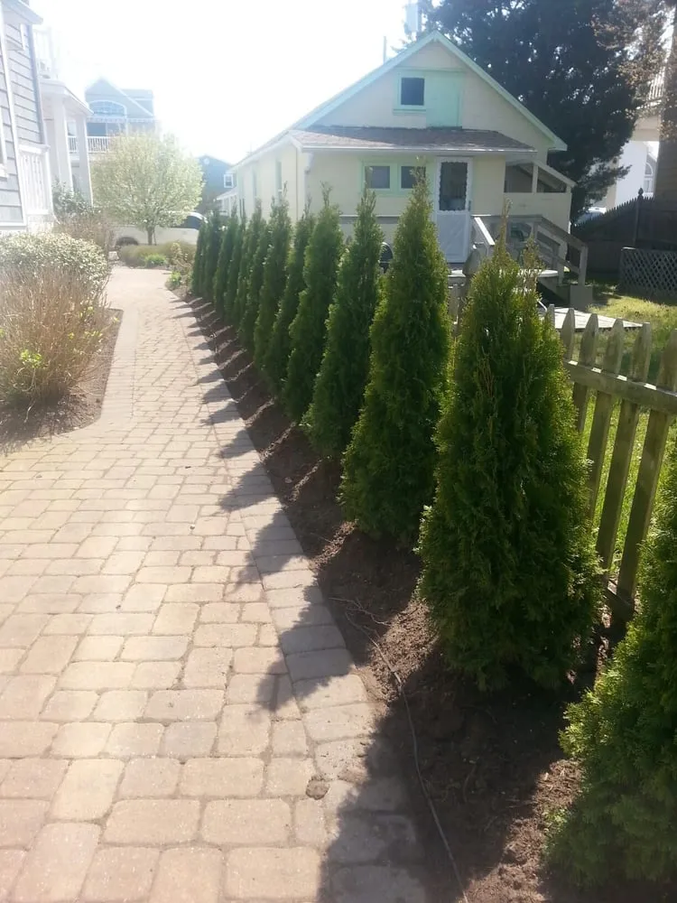 Top-rated yard cleanup service for homes in Marmora, NJ by Greenfield Lawn Care