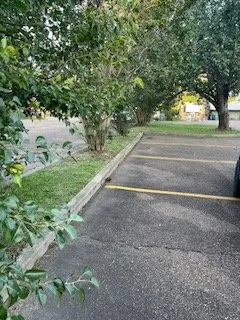 Reliable yard maintenance in Pearl, MS - Greenfield Lawn Service