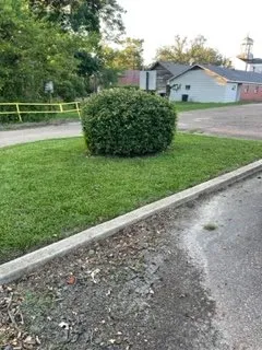 Local lawn mowing service in Pearl, MS by Greenfield Lawn Service