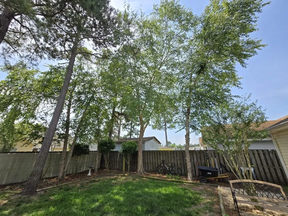 Reliable yard cleanup service for residential properties across Wilmington, NC - Greenfield Property Management