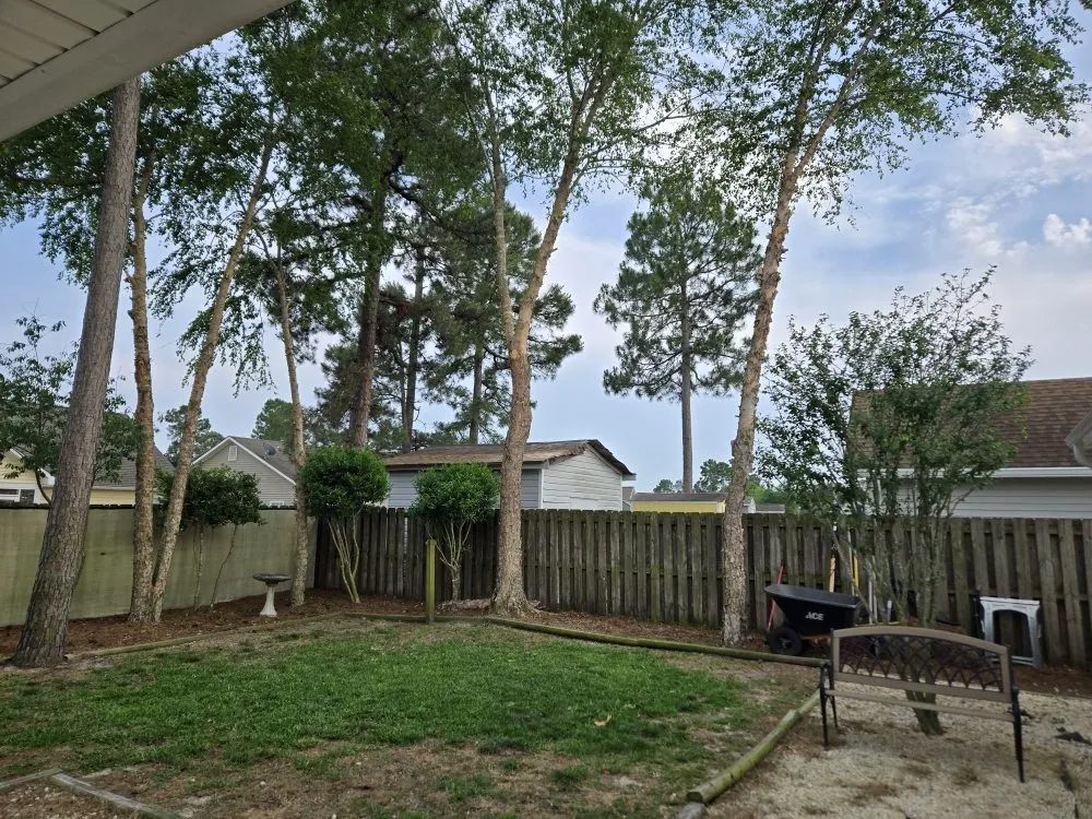 Trusted lawn care service in Wilmington, NC - Greenfield Property Management