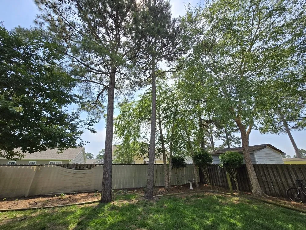 Local landscape design experts serving Wilmington, NC - Greenfield Property Management