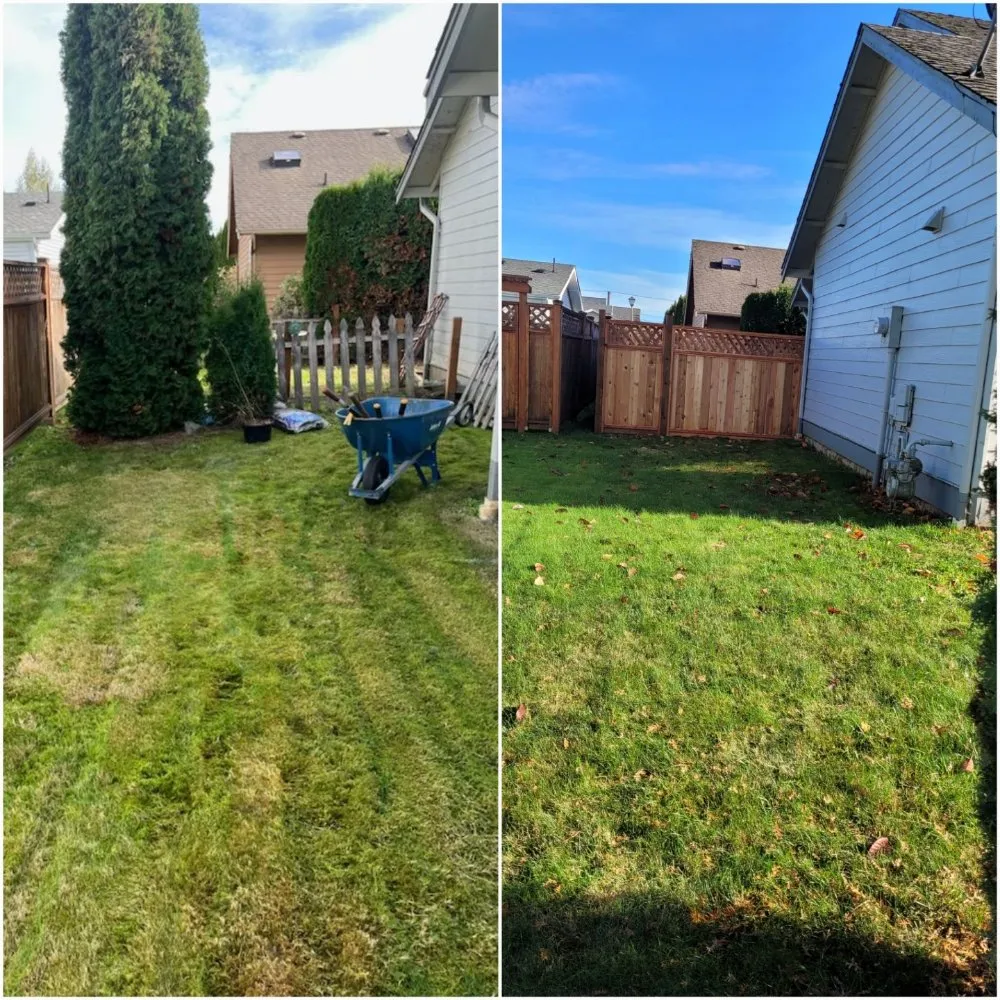 Affordable landscape design for outdoor upgrades in Sumas, WA by Greenfields Landscaping