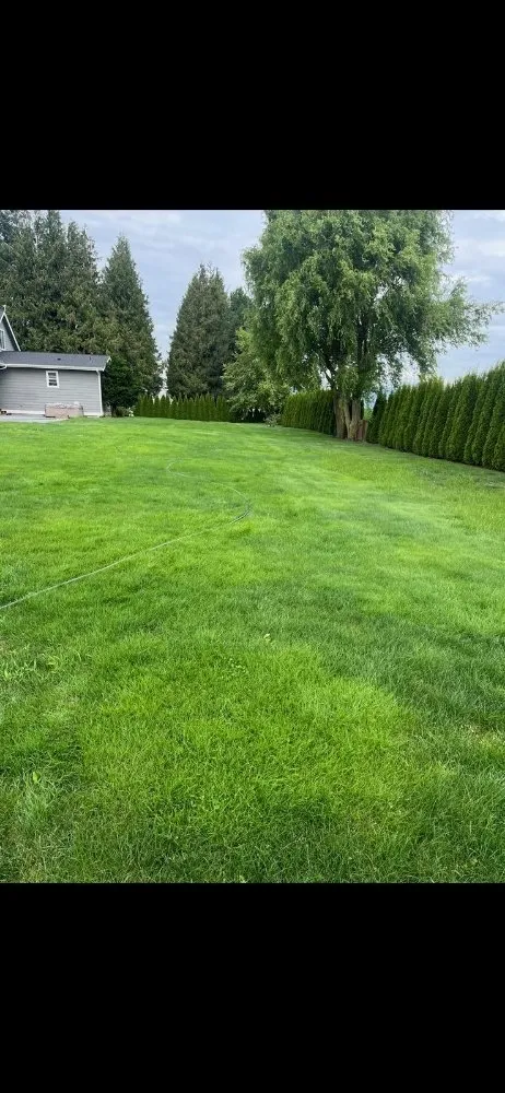 Trusted garden landscaping for residential properties in Sumas, WA by Greenfields Landscaping