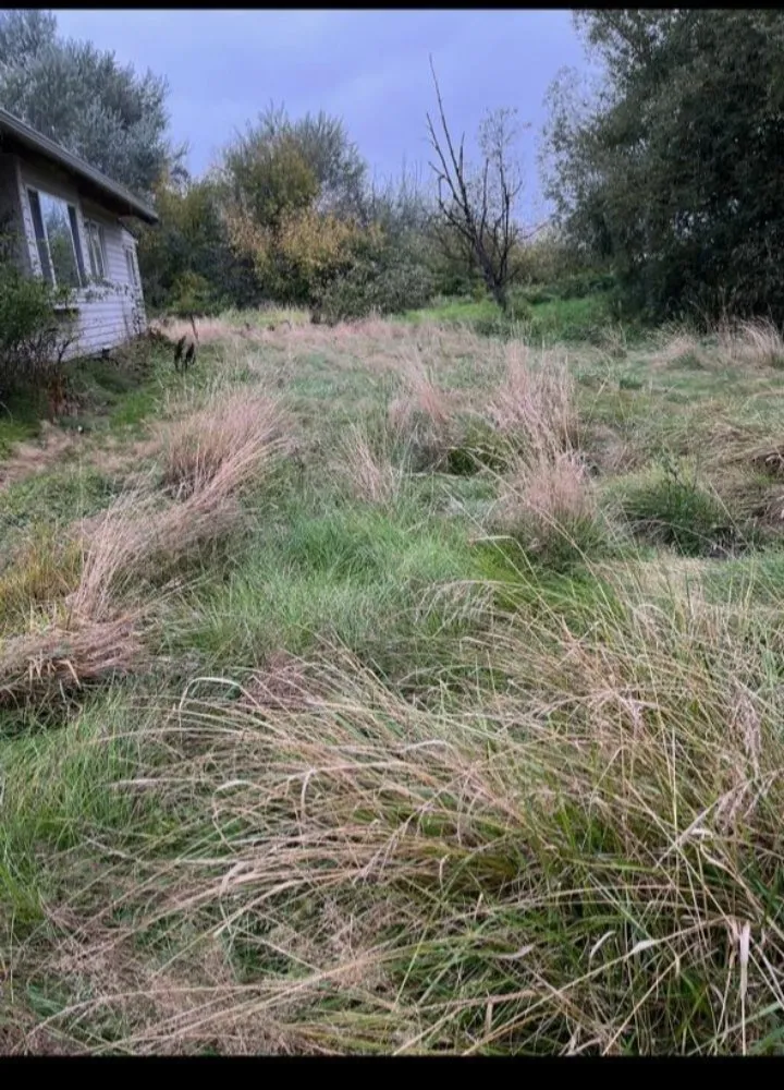 Custom landscaping services experts serving Sumas, WA - Greenfields Landscaping