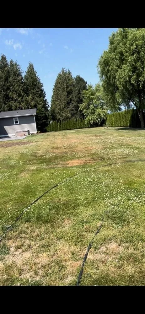 Reliable residential landscaping for homes in Sumas, WA by Greenfields Landscaping